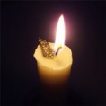 /album/galeria-de-fotos/photo1-jpg/