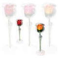 Short Steam Rose Candle + Small Glass Holder