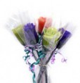 /album/images-of-the-product1/colored-roses-jpg/